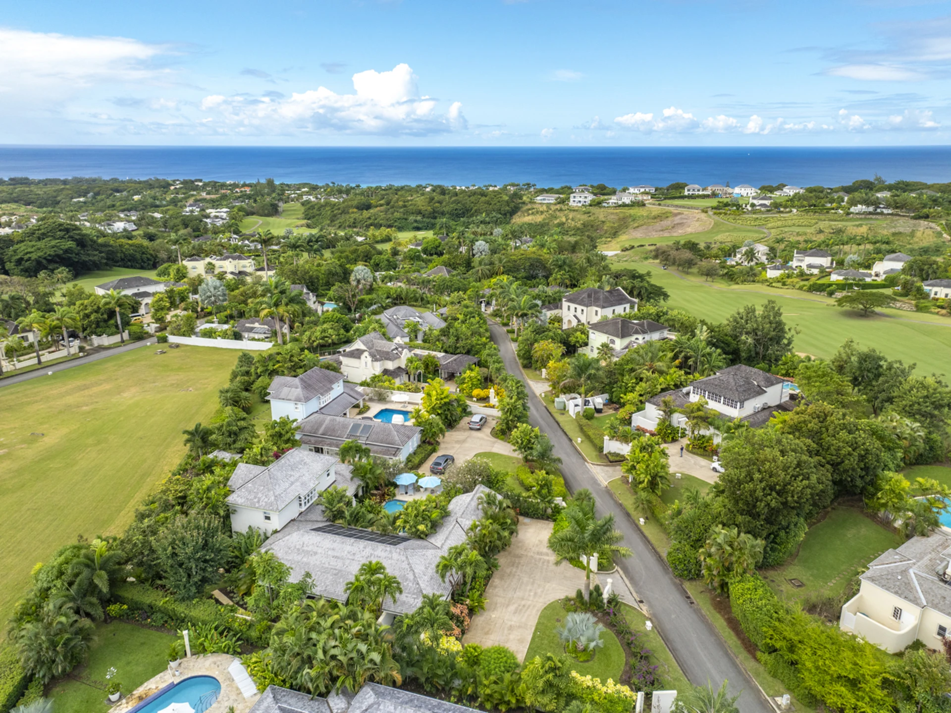 Aerial View of Palm Grove