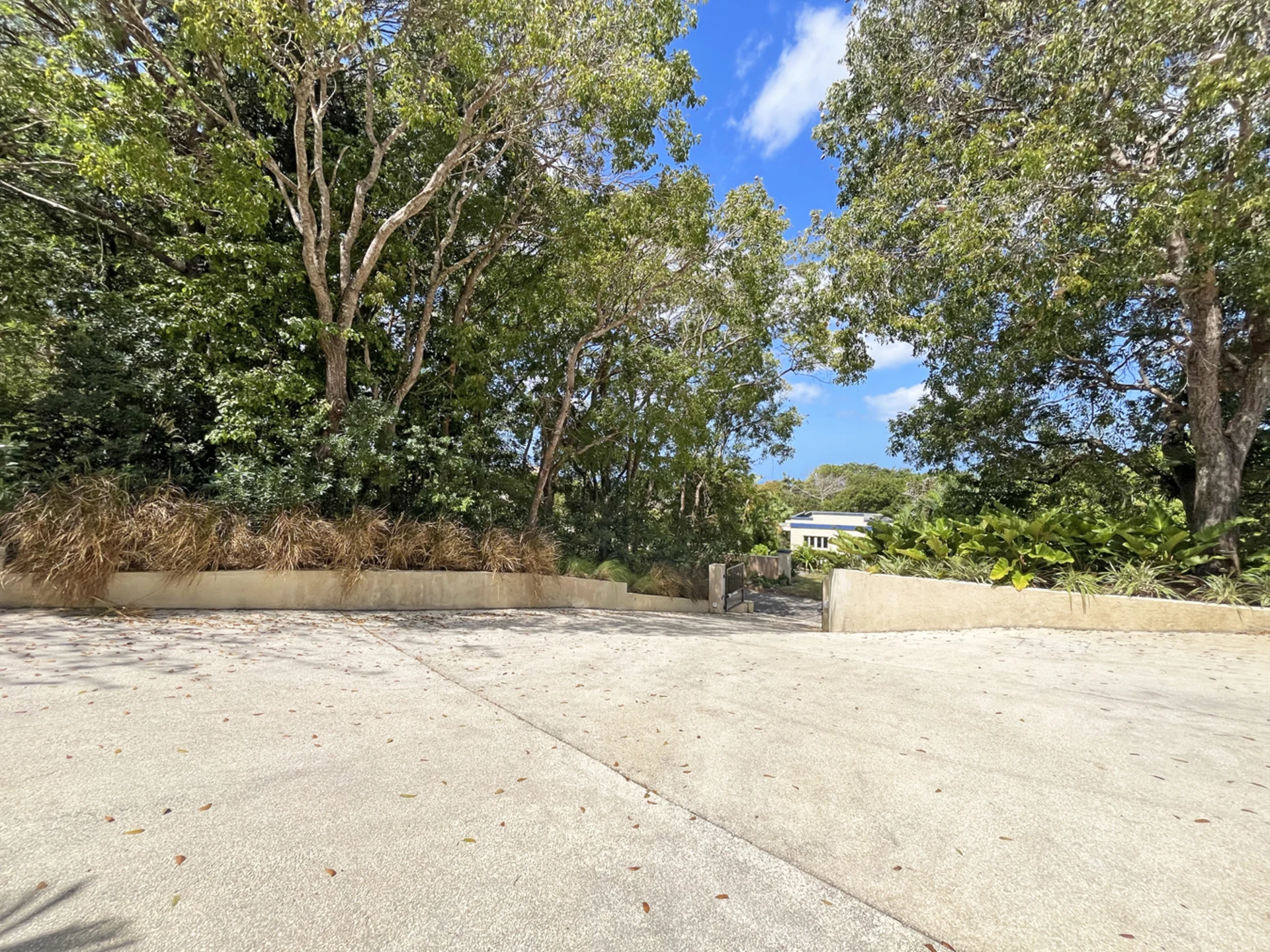 Expansive driveway with gated entry