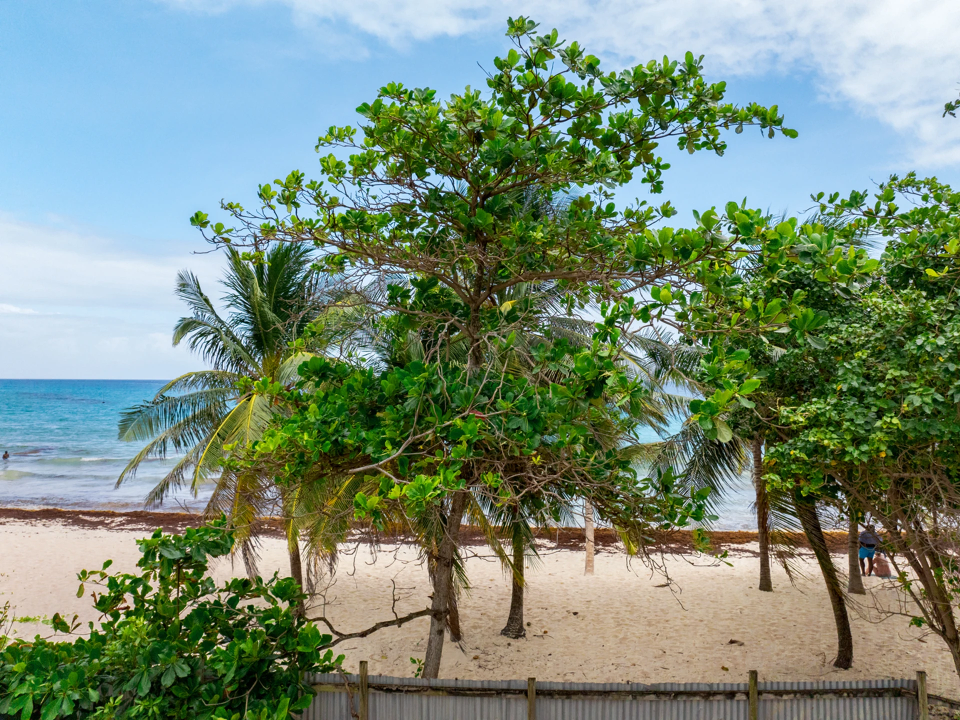 View of beach at site