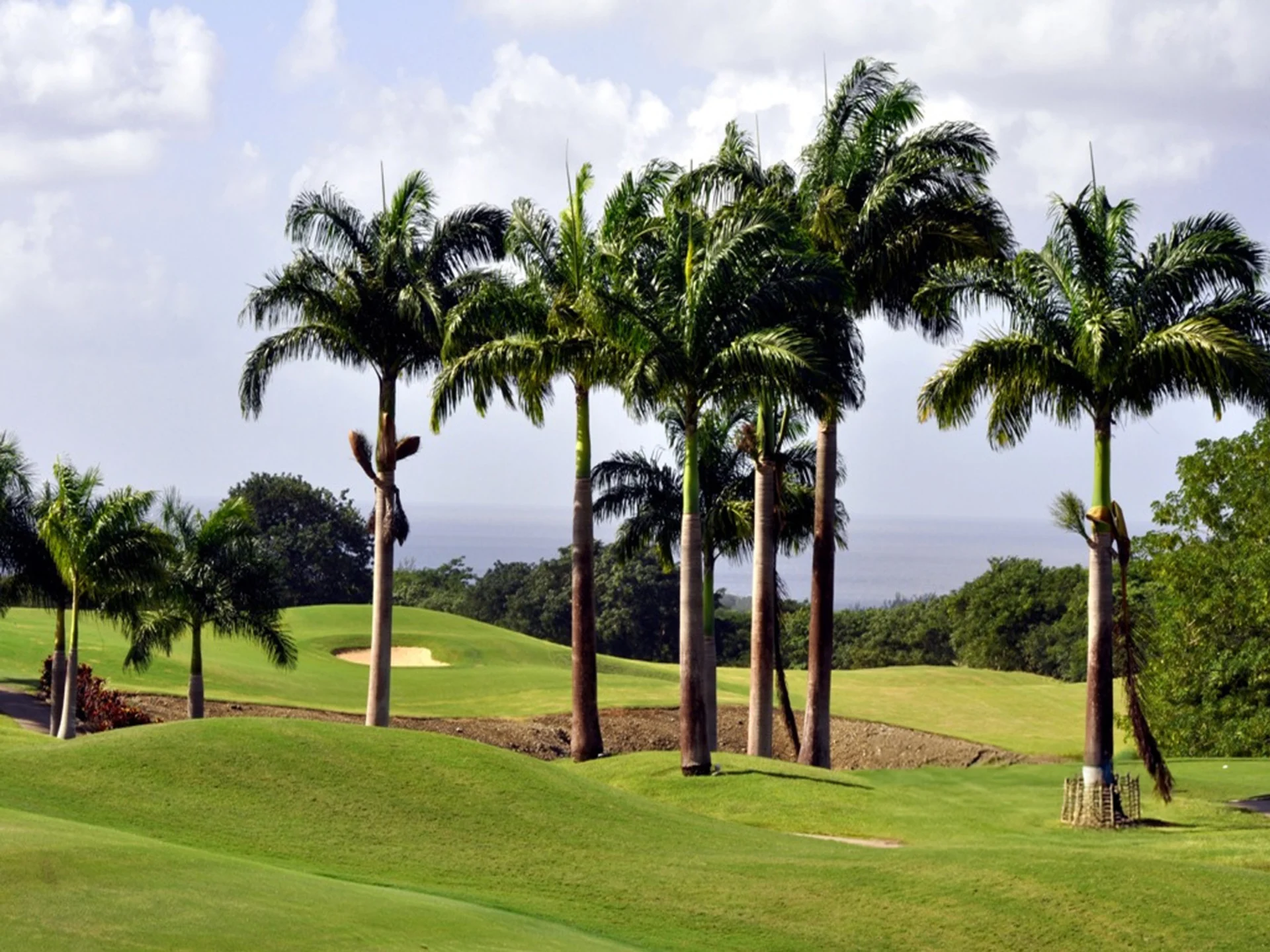 Golf Course
