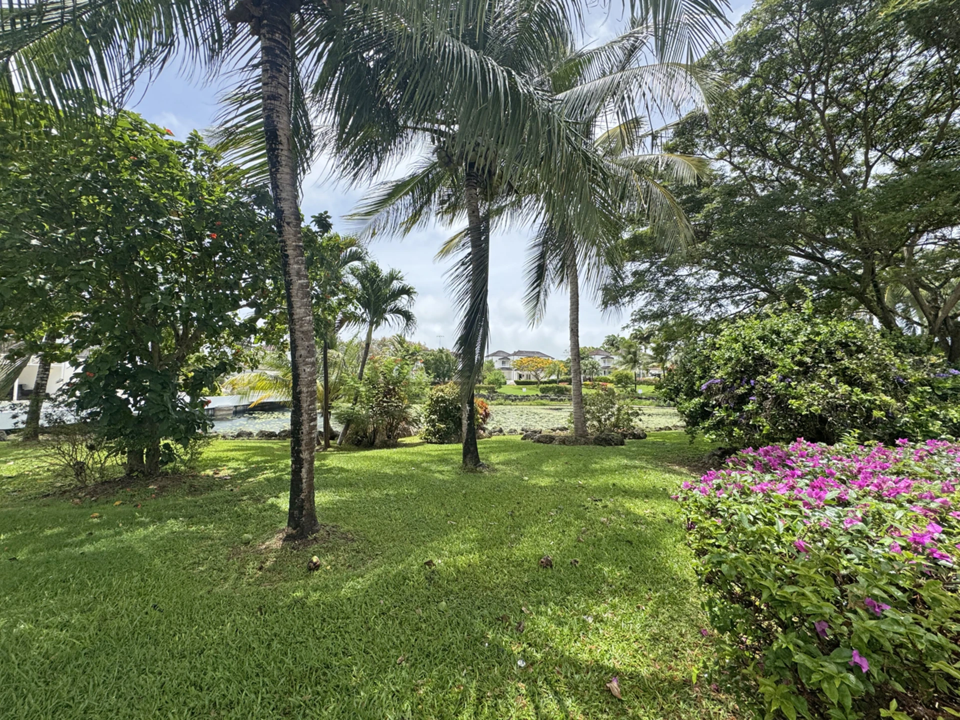 View from large patio