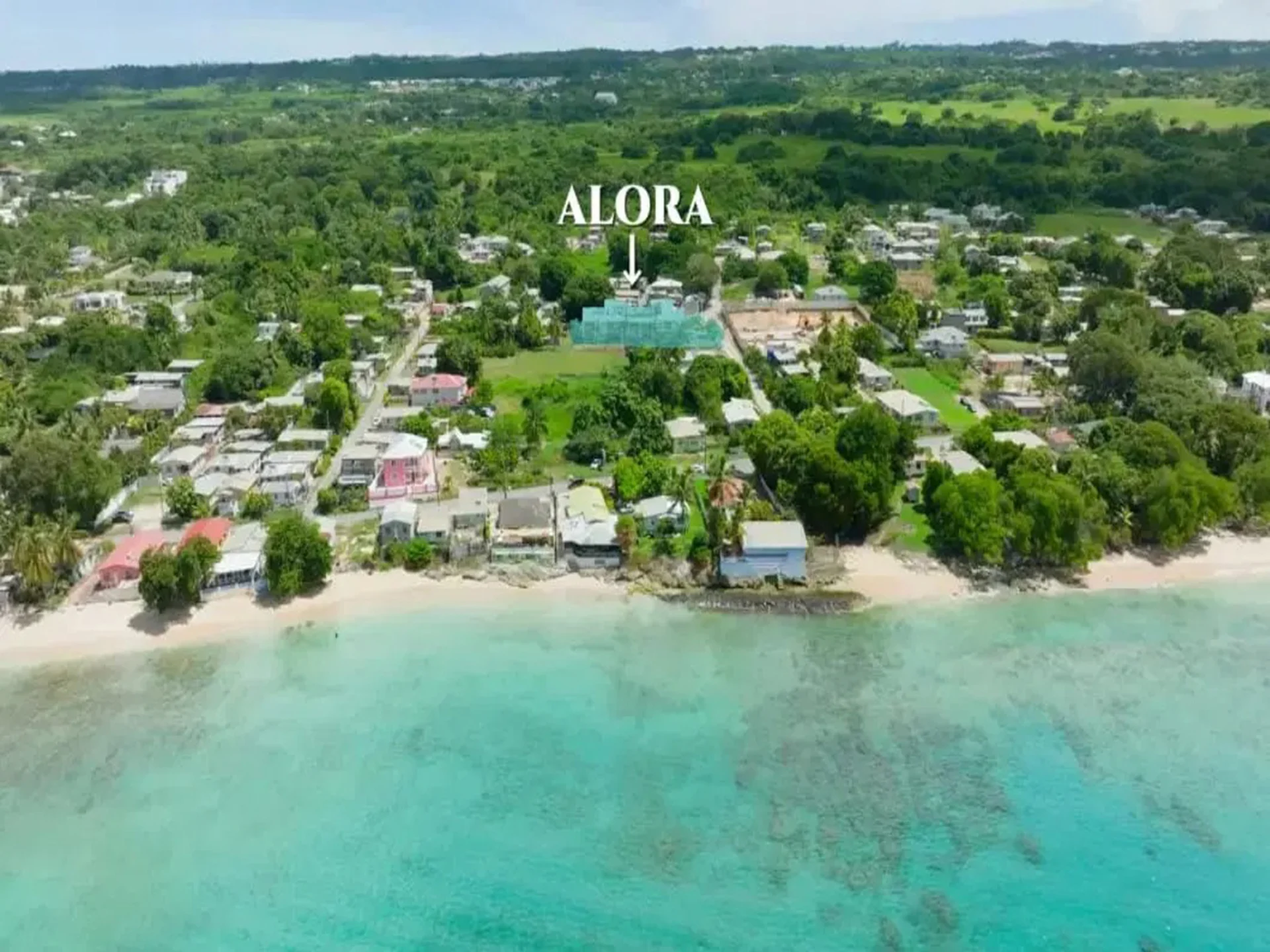 Alora Development