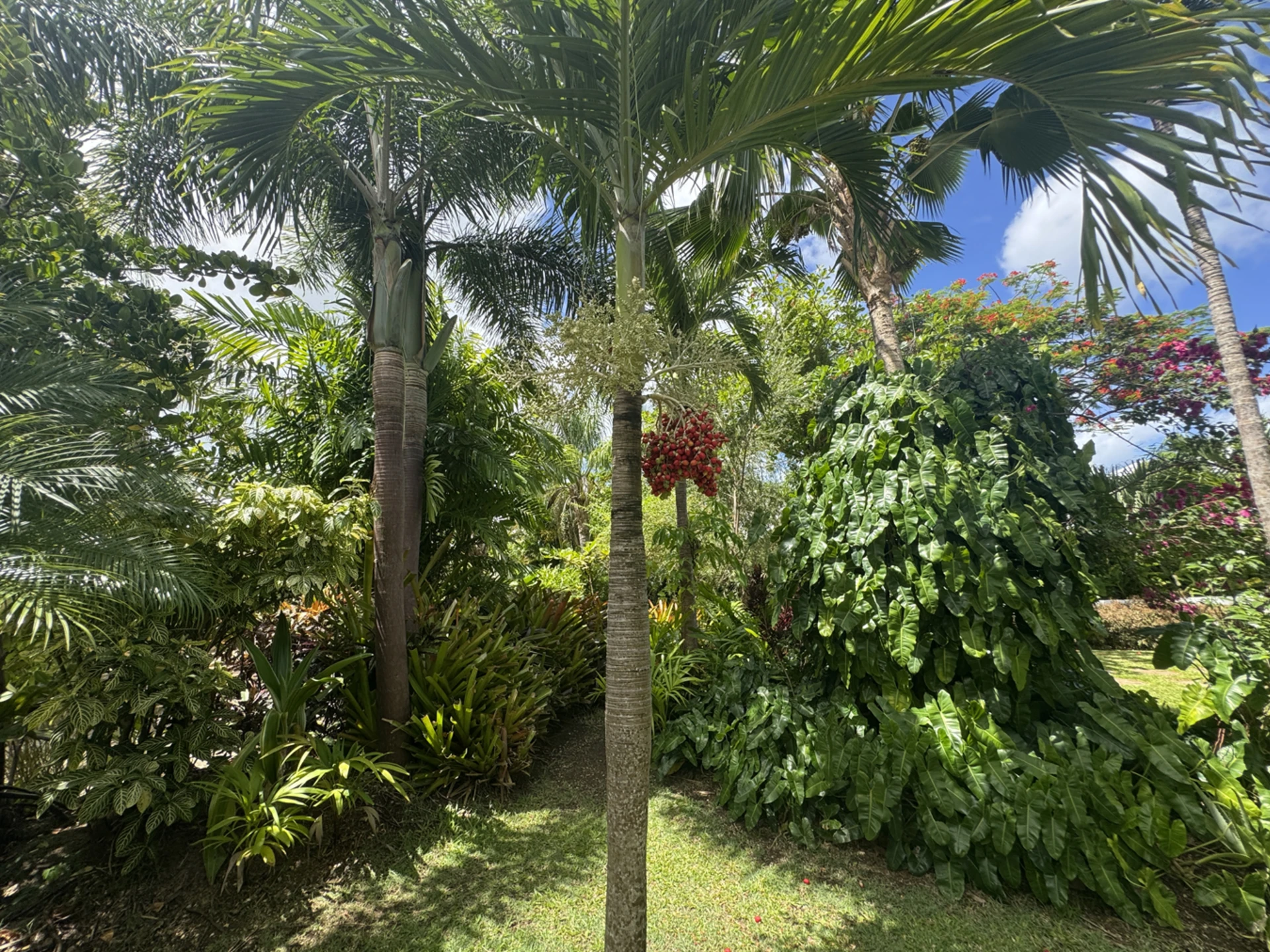 Landscaped garden