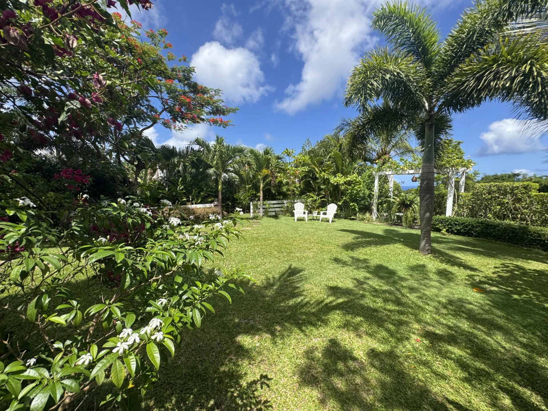 Landscaped lawn and garden