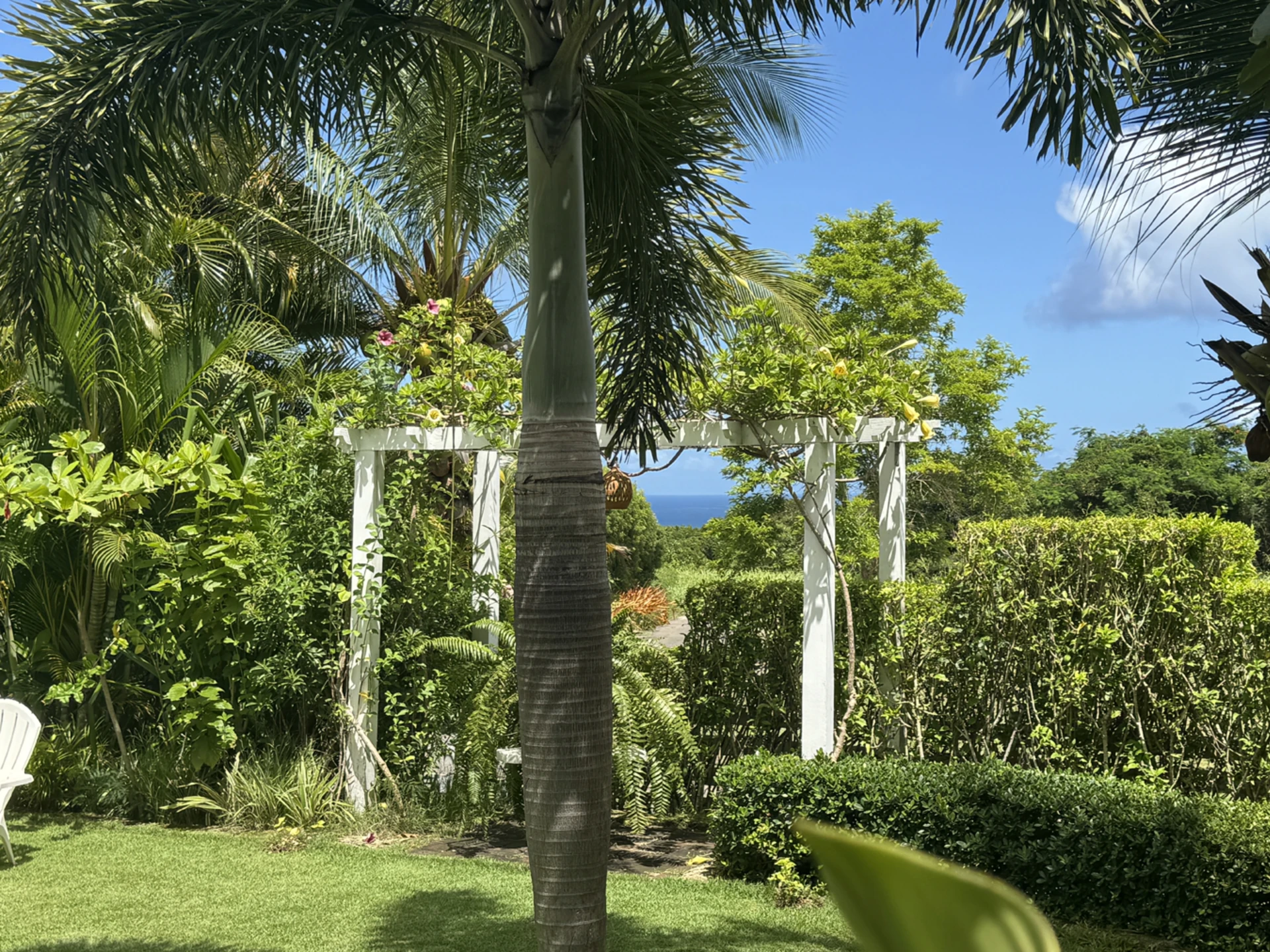 Pergola