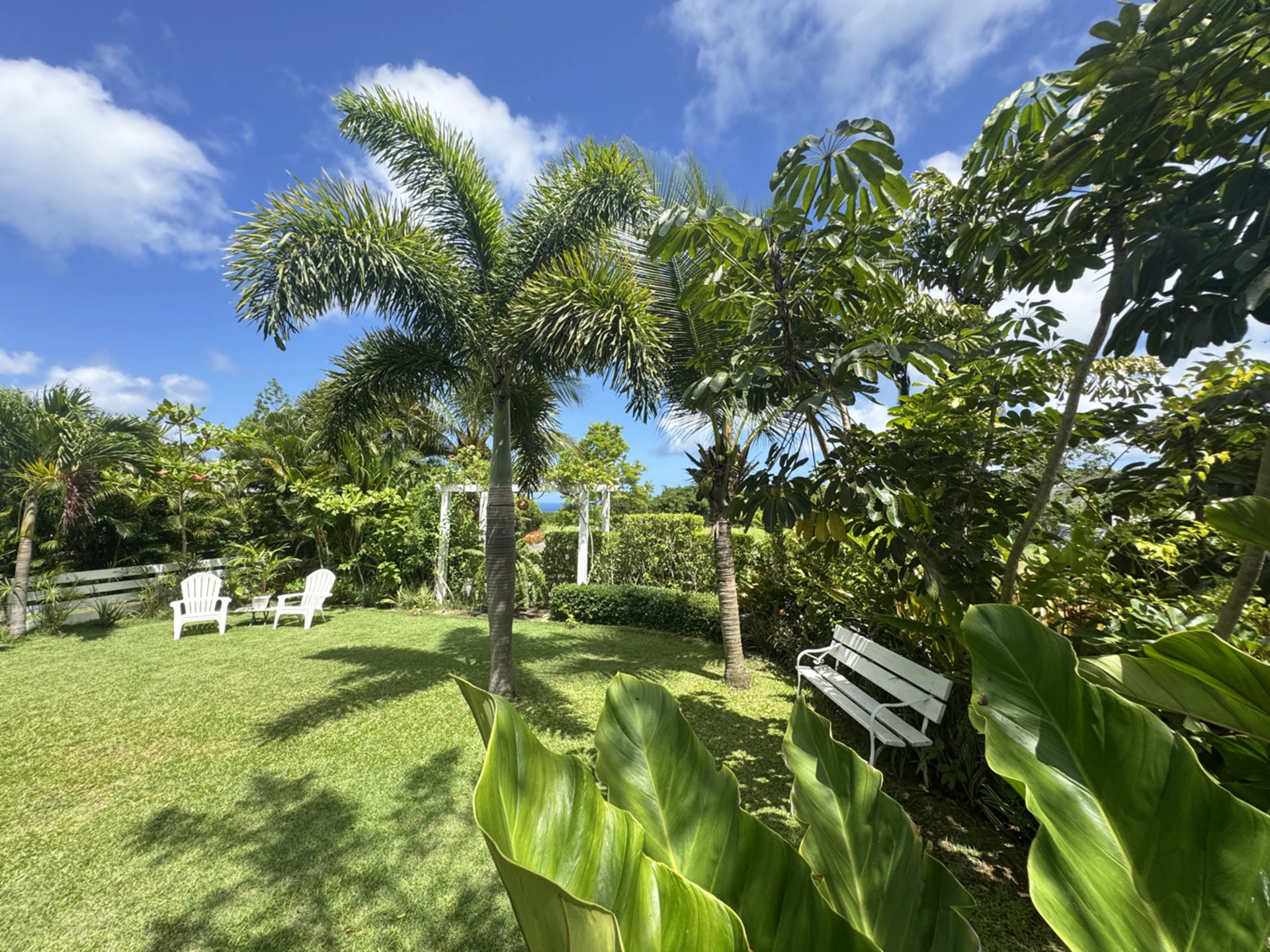 Lovely landscaped lawn and garden