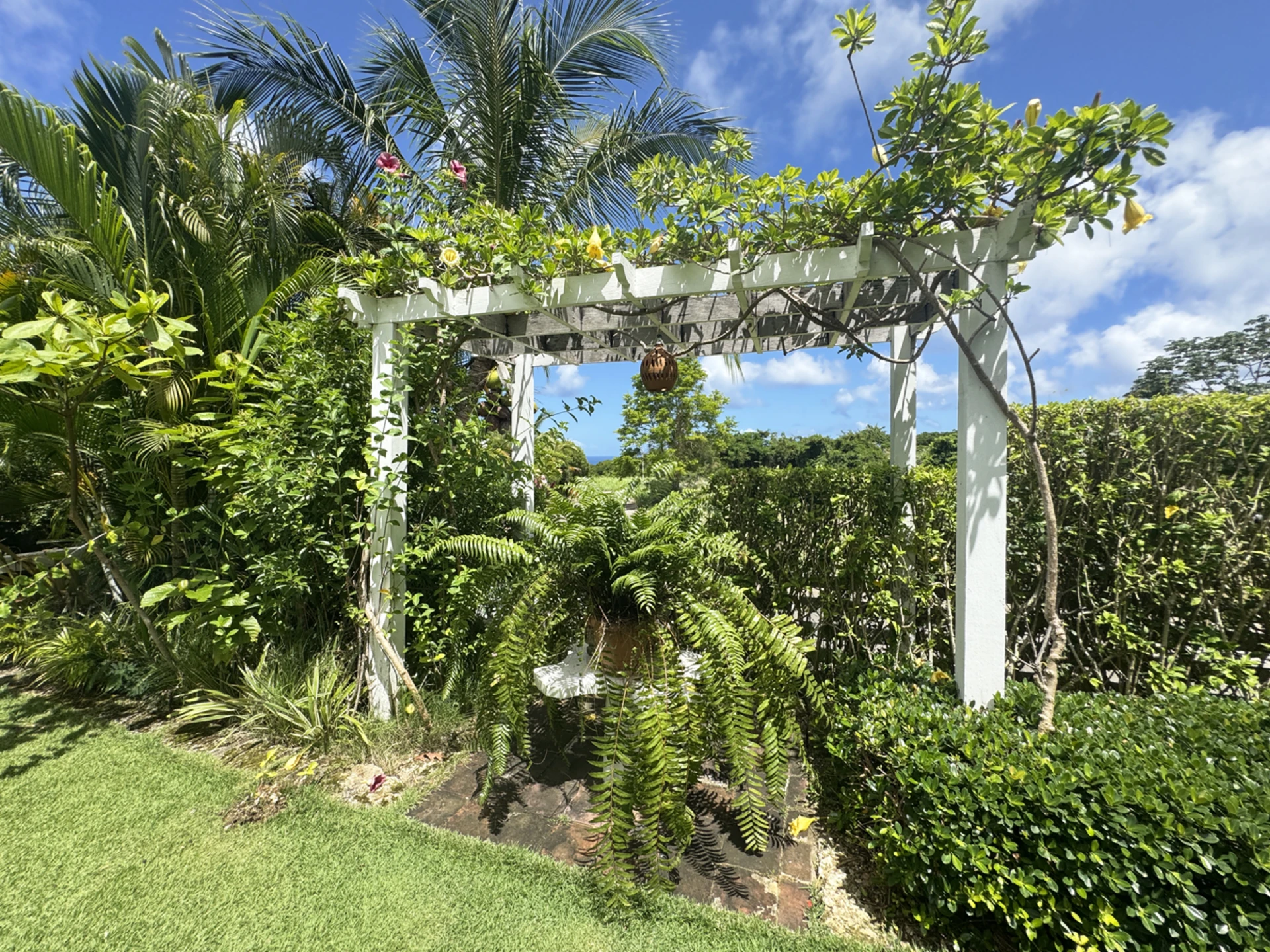 Pergola with sea view