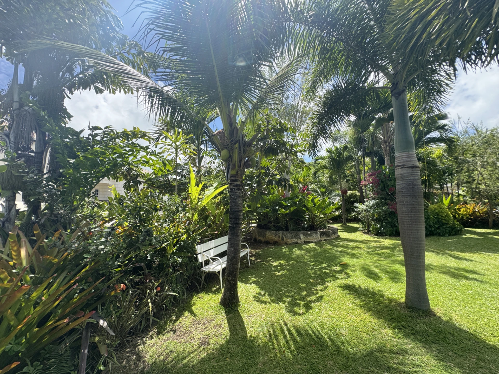 Mature trees and garden