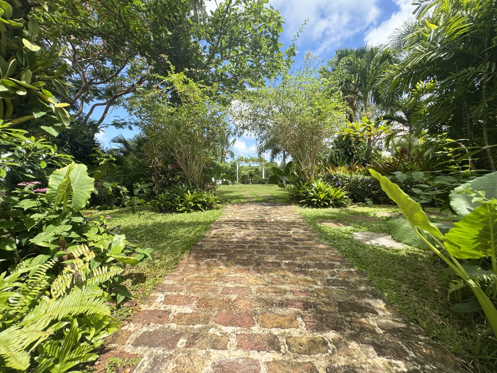 Foot path leading to the lawn