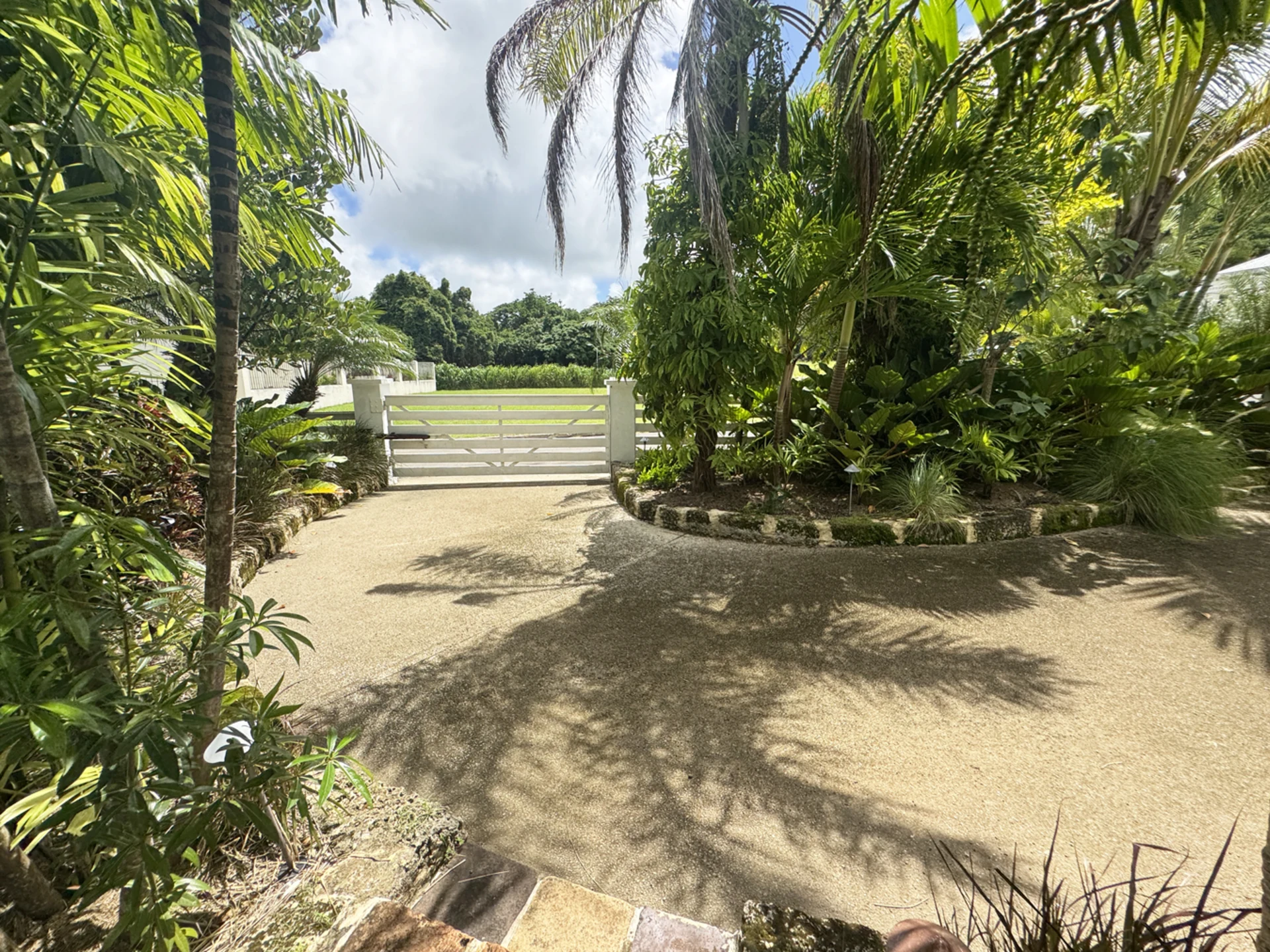 Driveway and electric gate