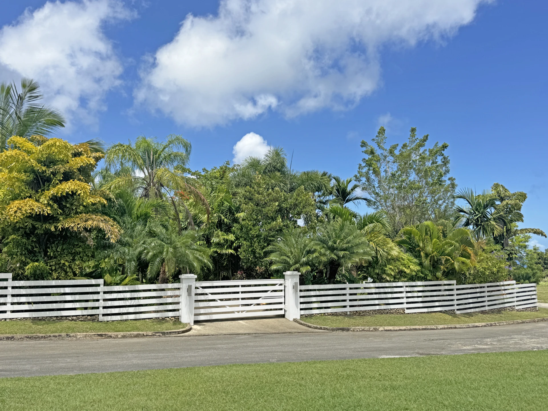 Gate and fence