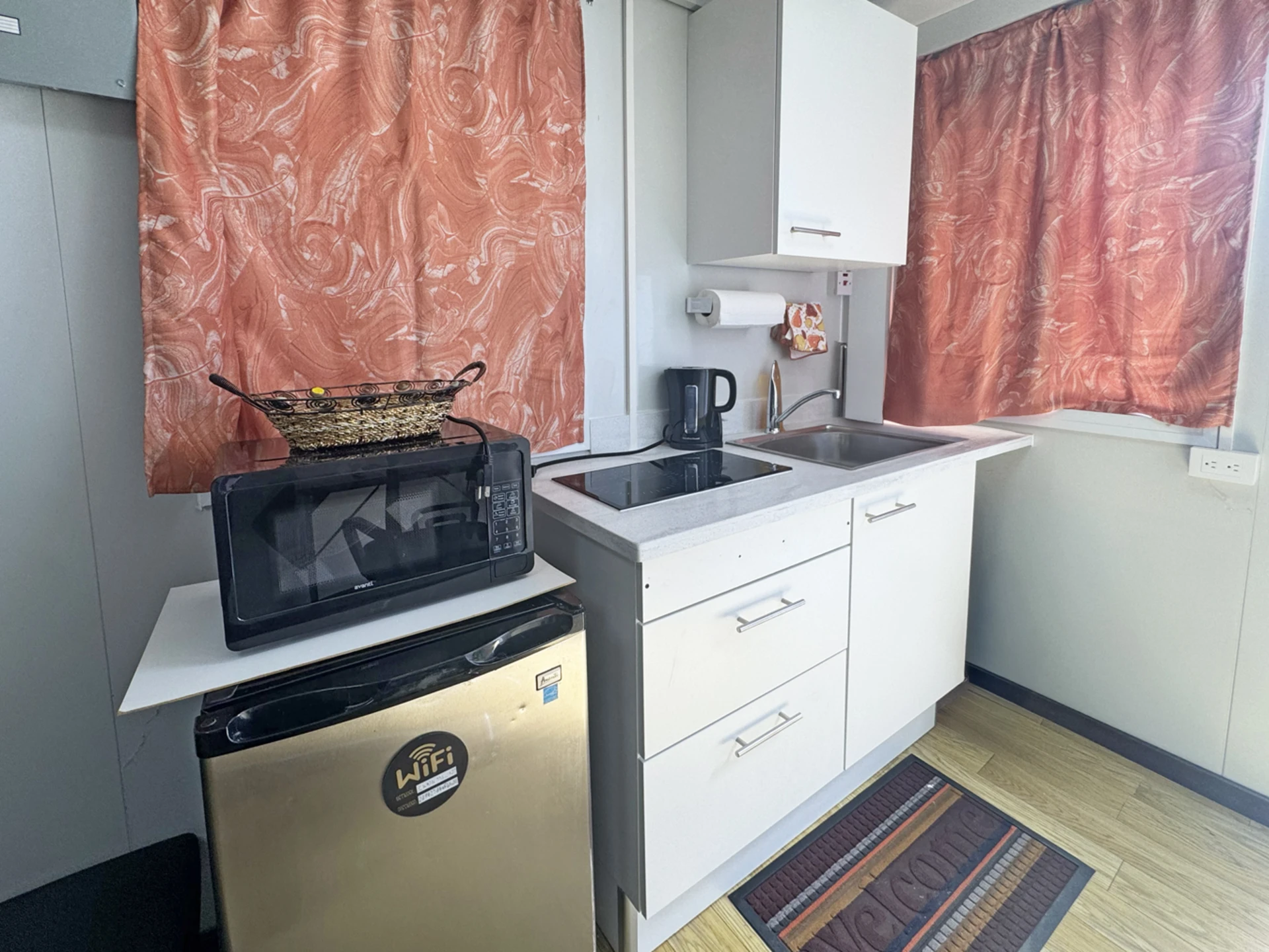 Microwave and fridge