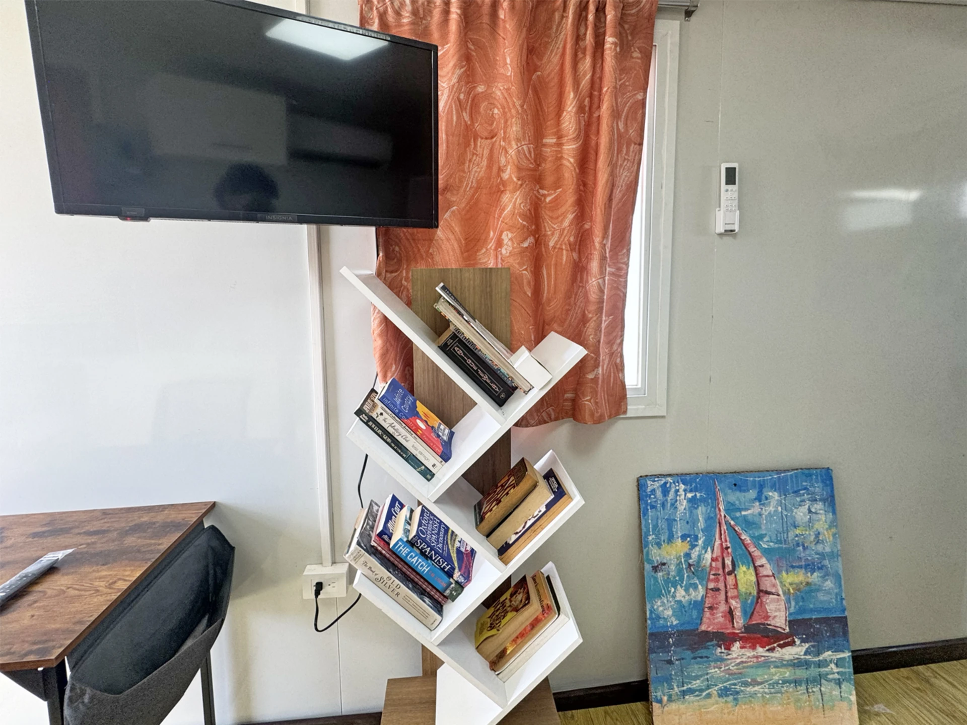 Library and televsion