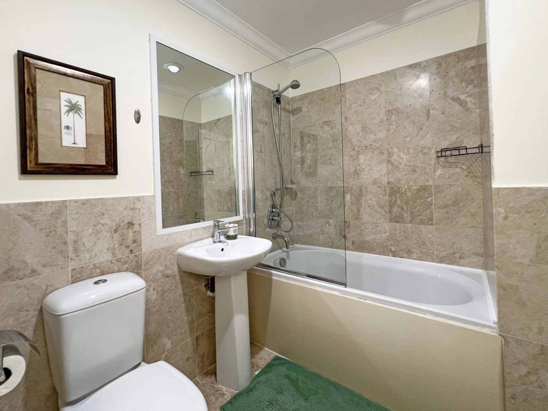 Guest bathroom