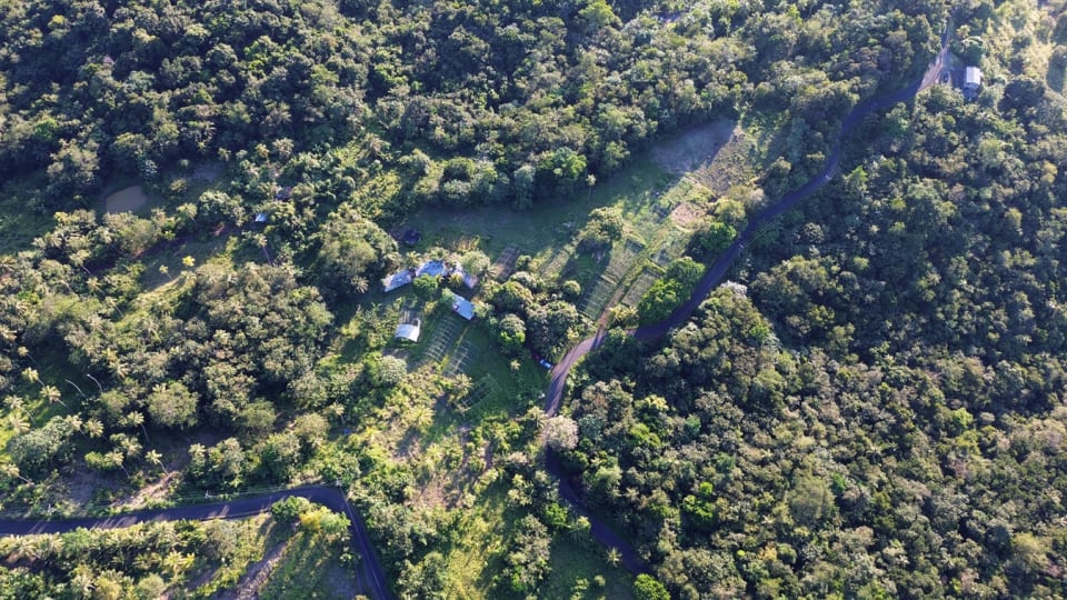 Overhead Shot Of Parcel