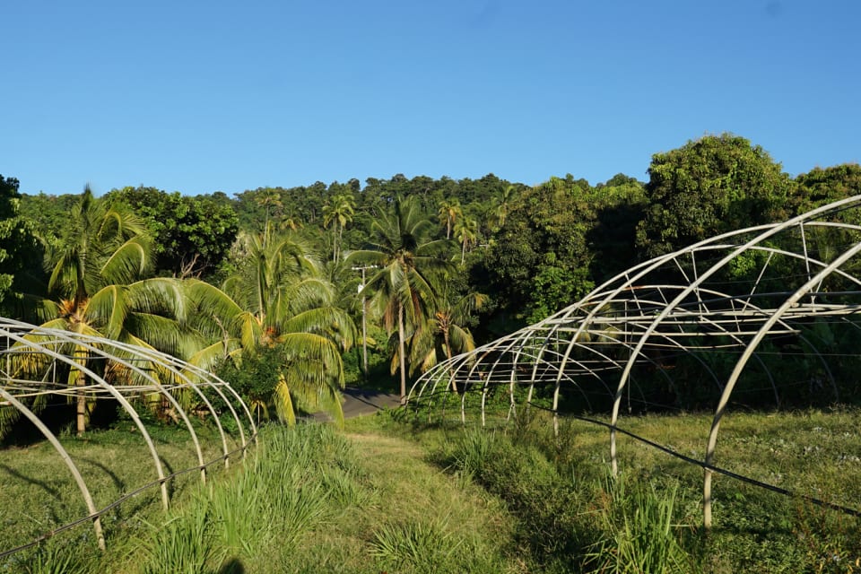 Groundshot of greenhouses