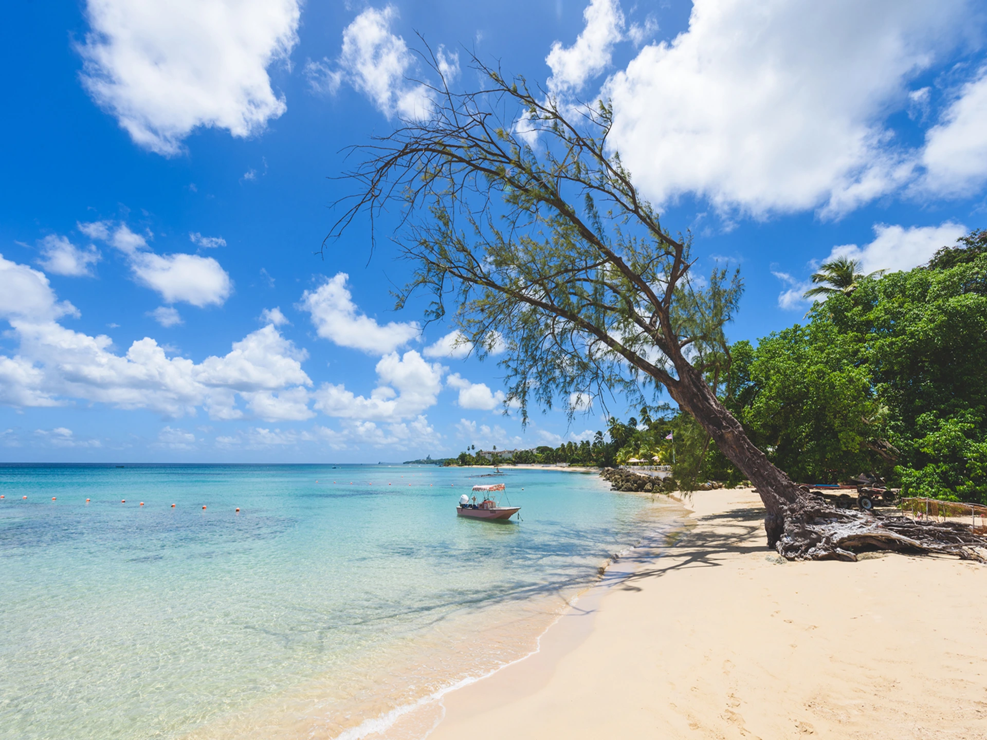 White sandy beach