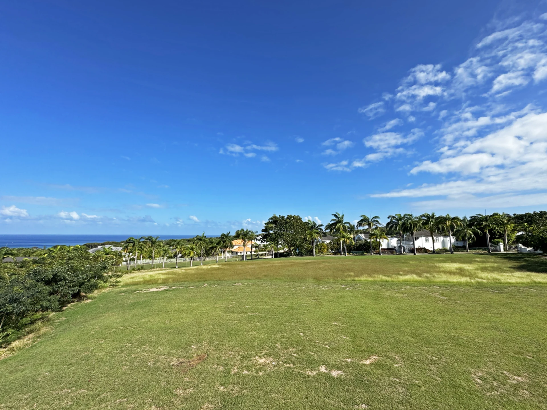 North View from Lot