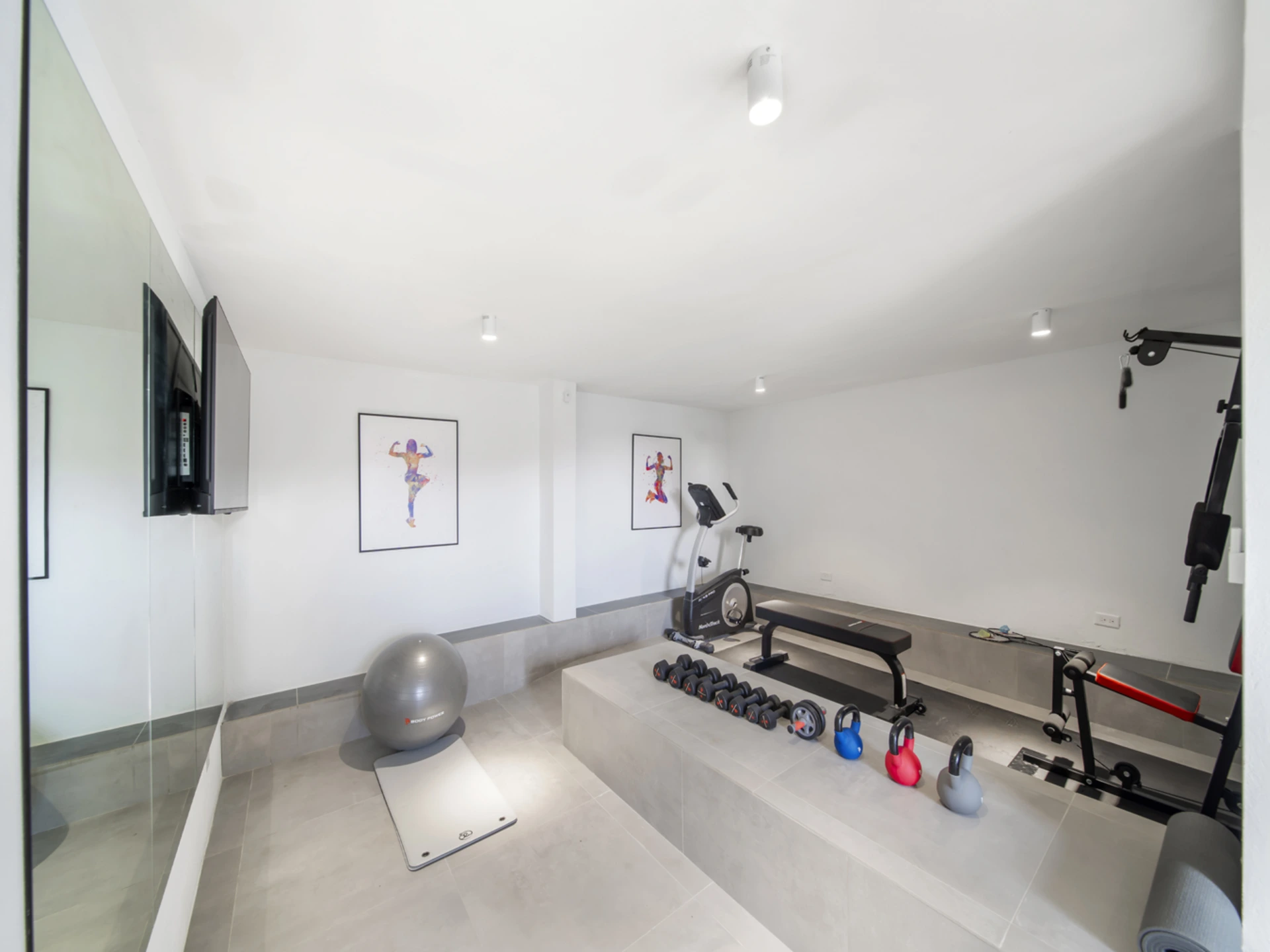Equipped air-conditioned gym