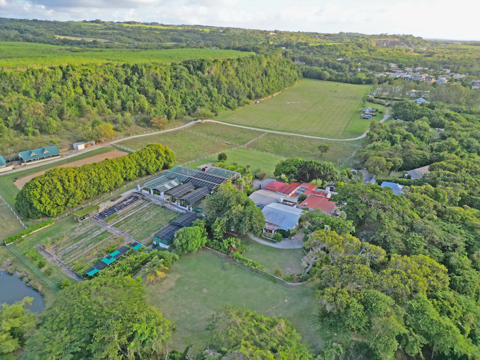 Aerial view facing south