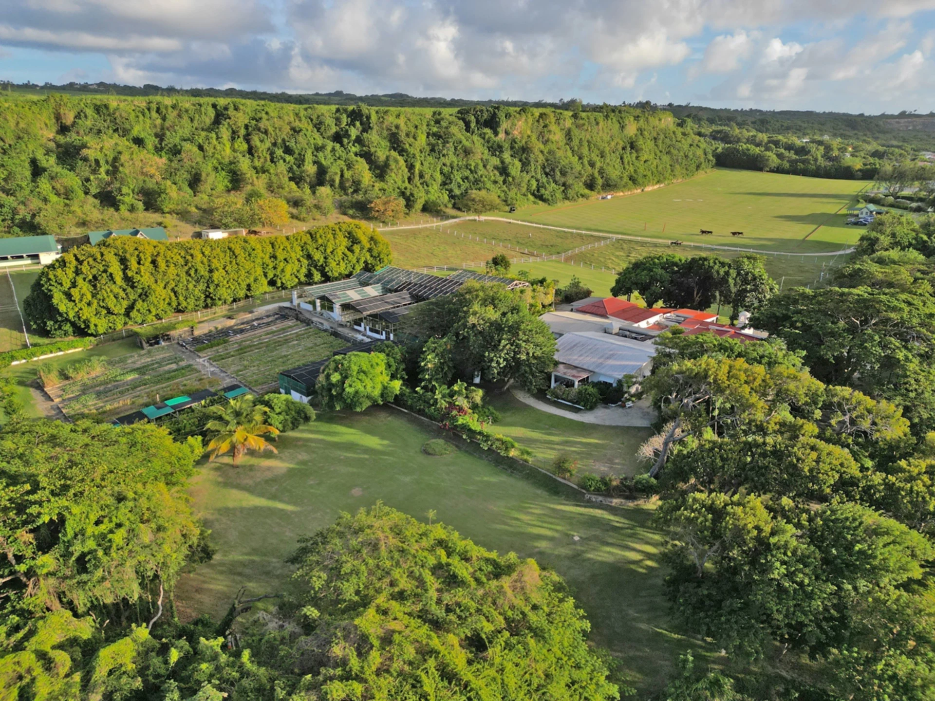 Aerial view from the north