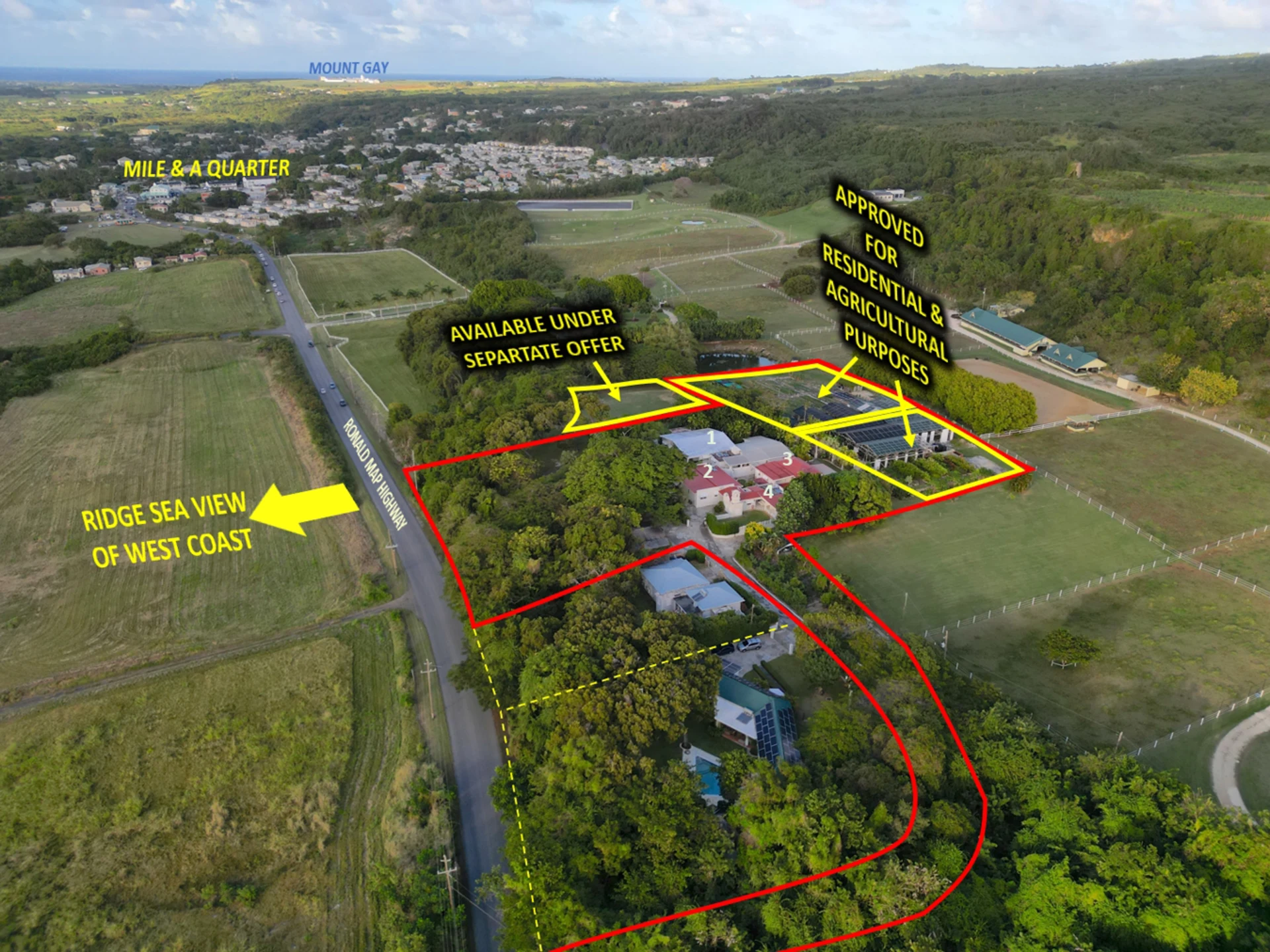 Overview of White Hall Estate
