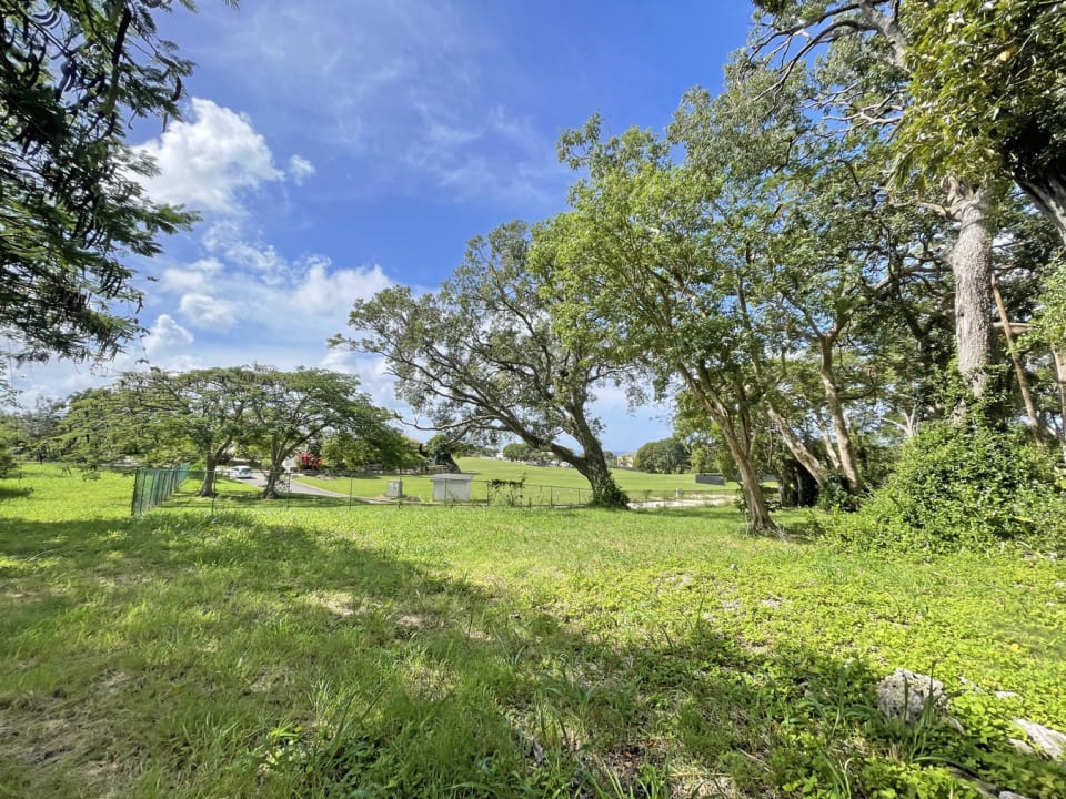 Beautiful grounds of Westmoreland Plantation