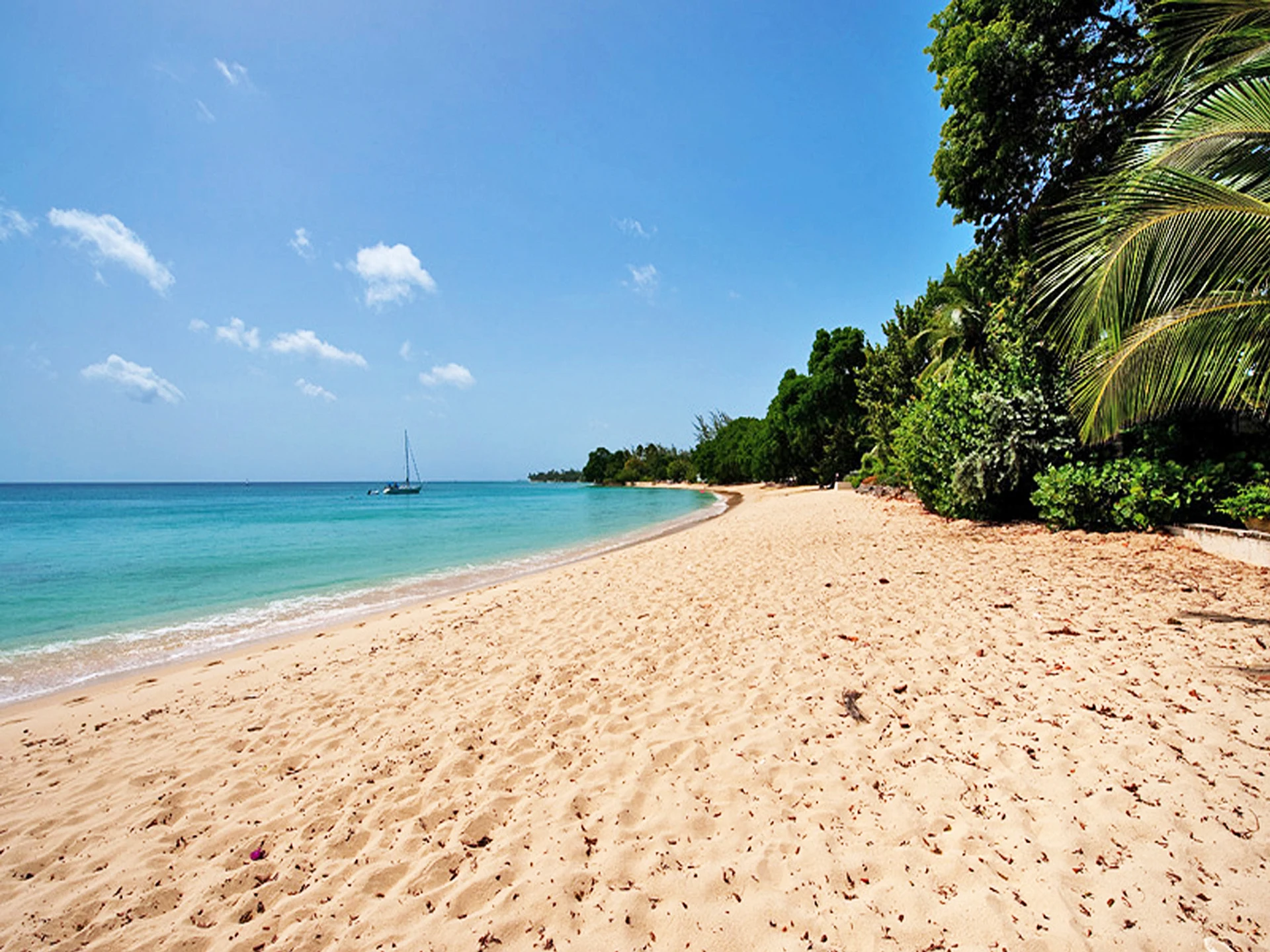Barbados Famous Gibbs Beach
