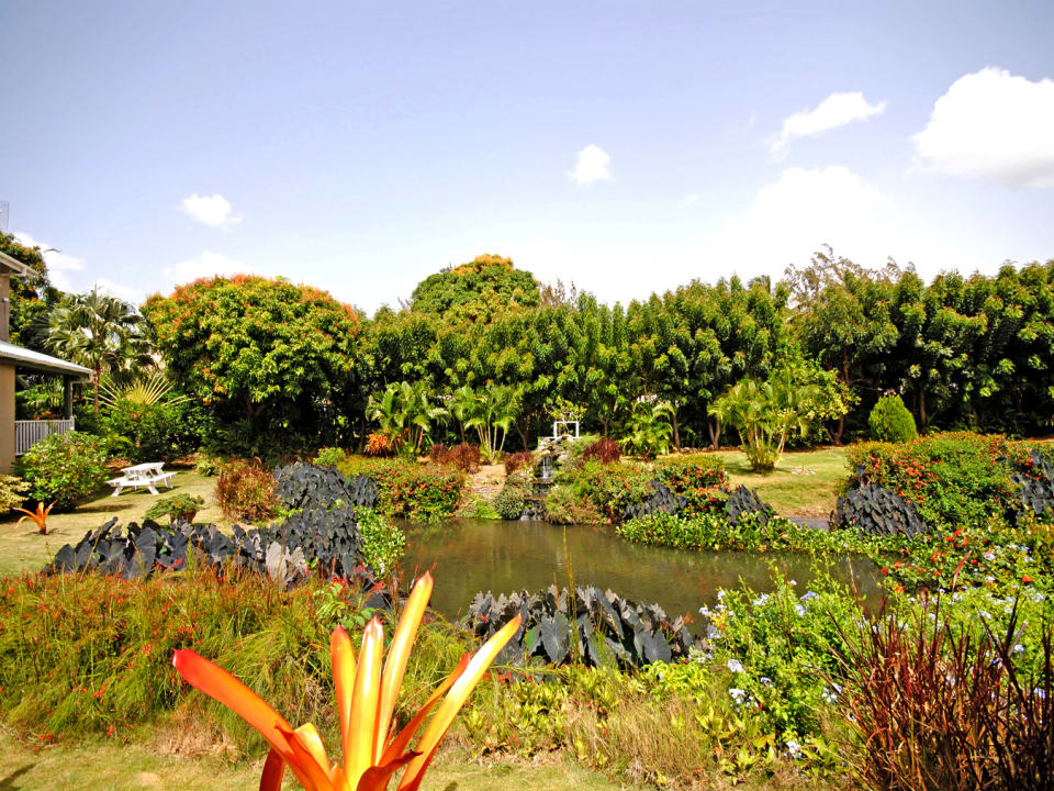 Landscaped lake