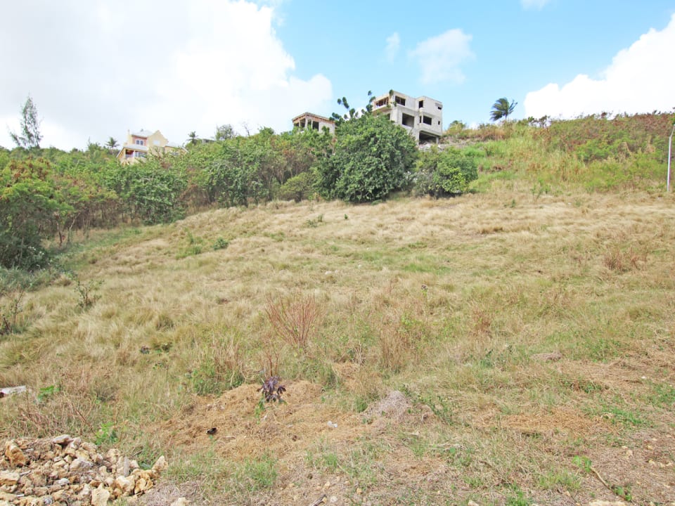 Land View to the North