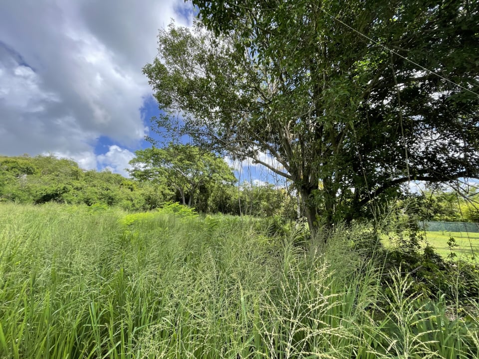 View across the site