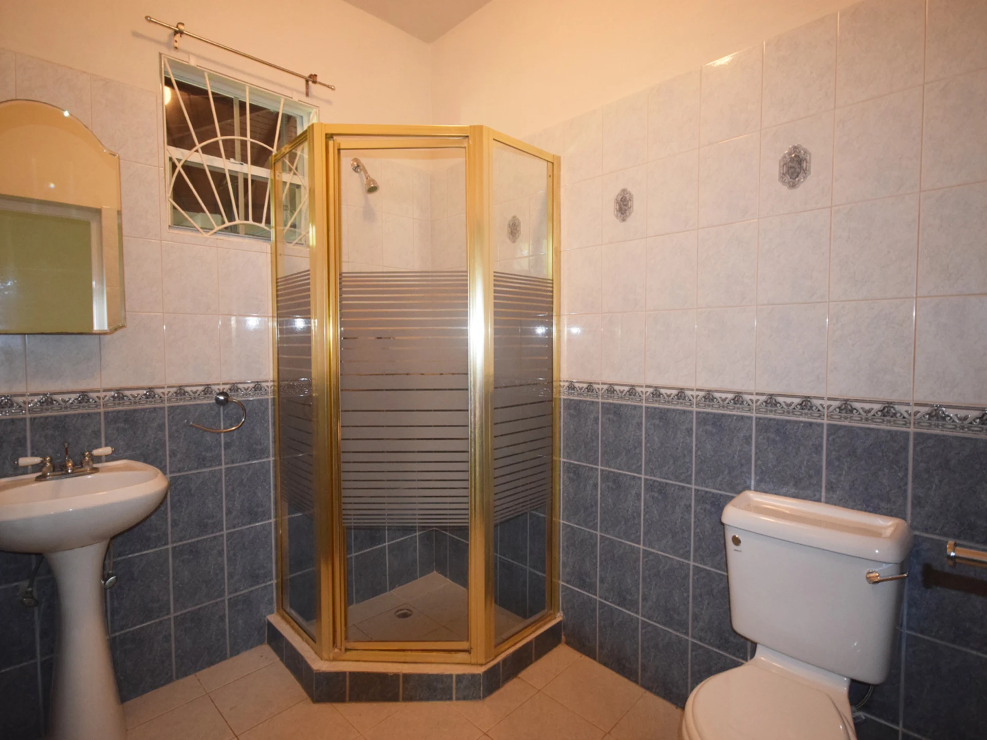Bathroom Downstairs