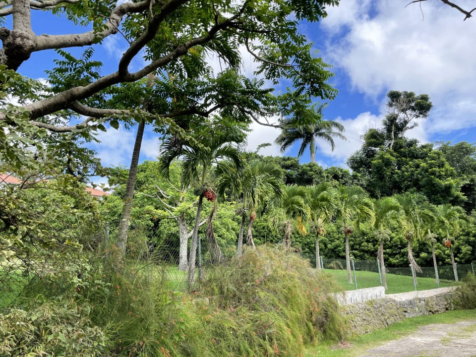 View of Lot C from access road