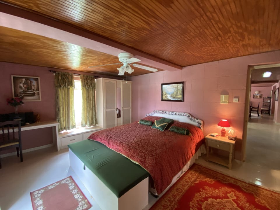 Downstairs bedroom