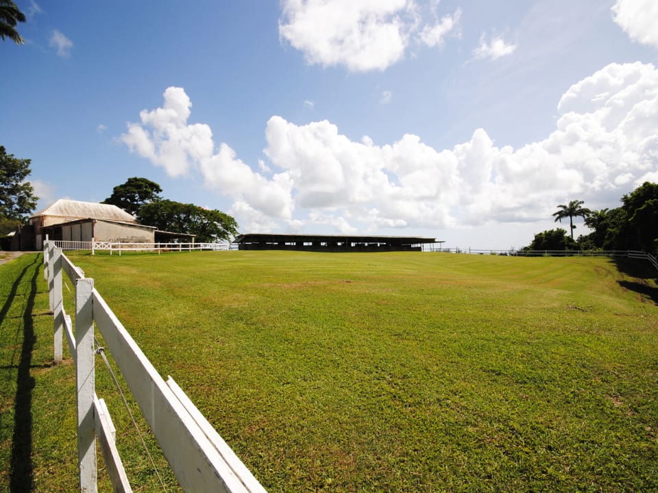 Stables and paddock