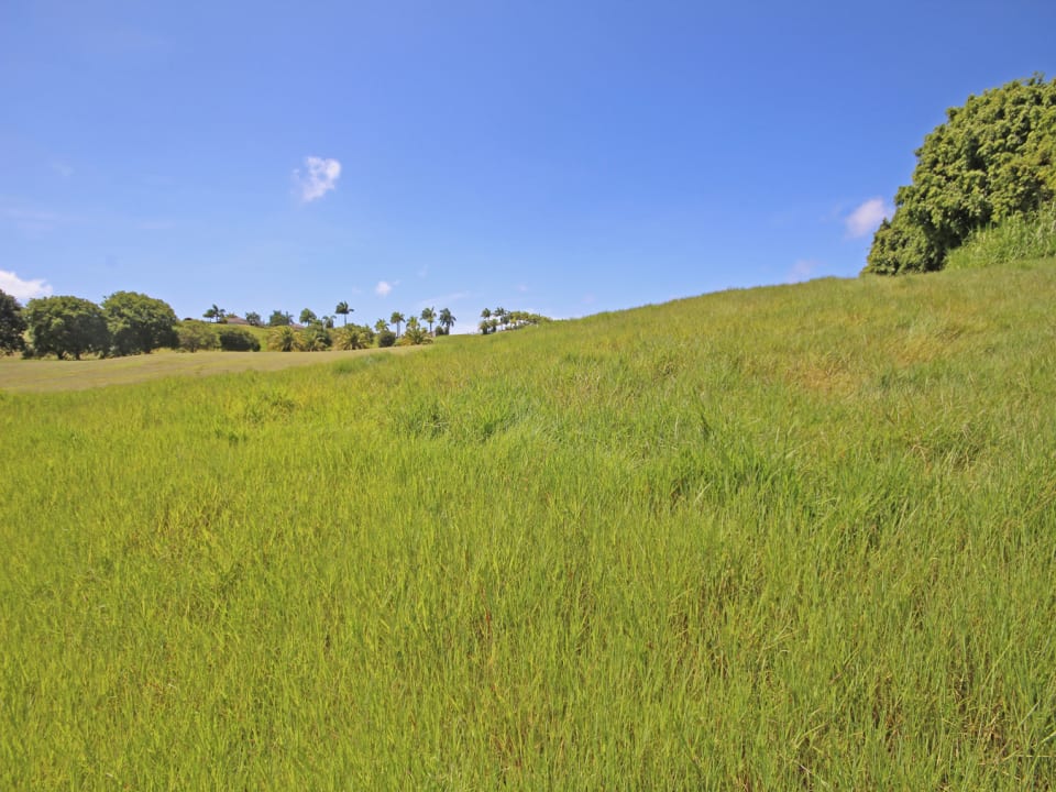 Lion Castle Polo Estate Lot 8A • Land • Barbados Real Estate & Property