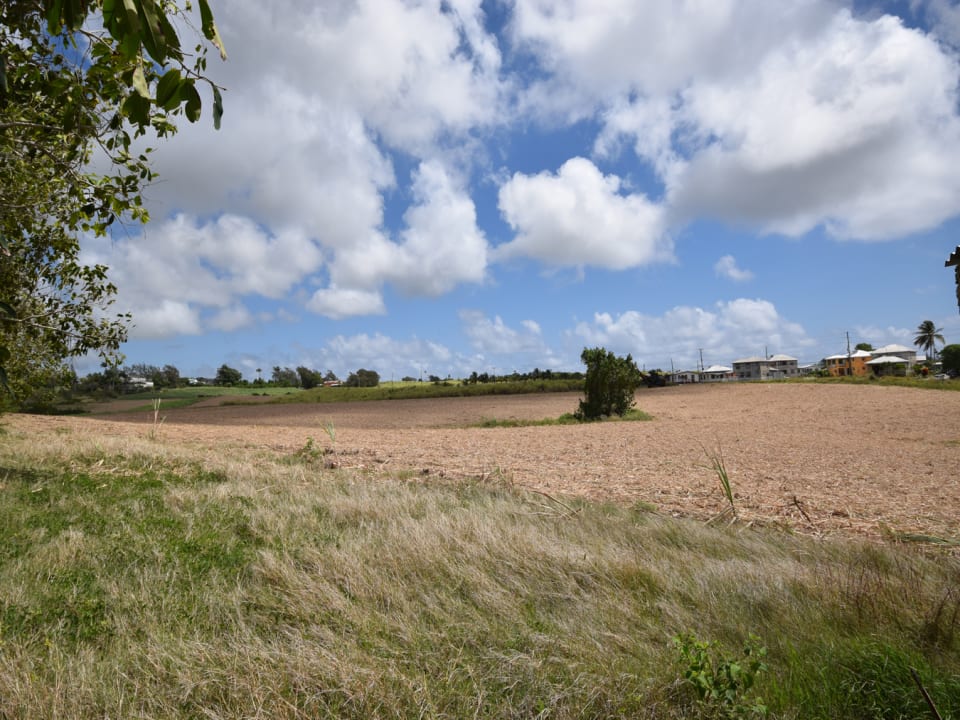 Looking to the North of Lot 9