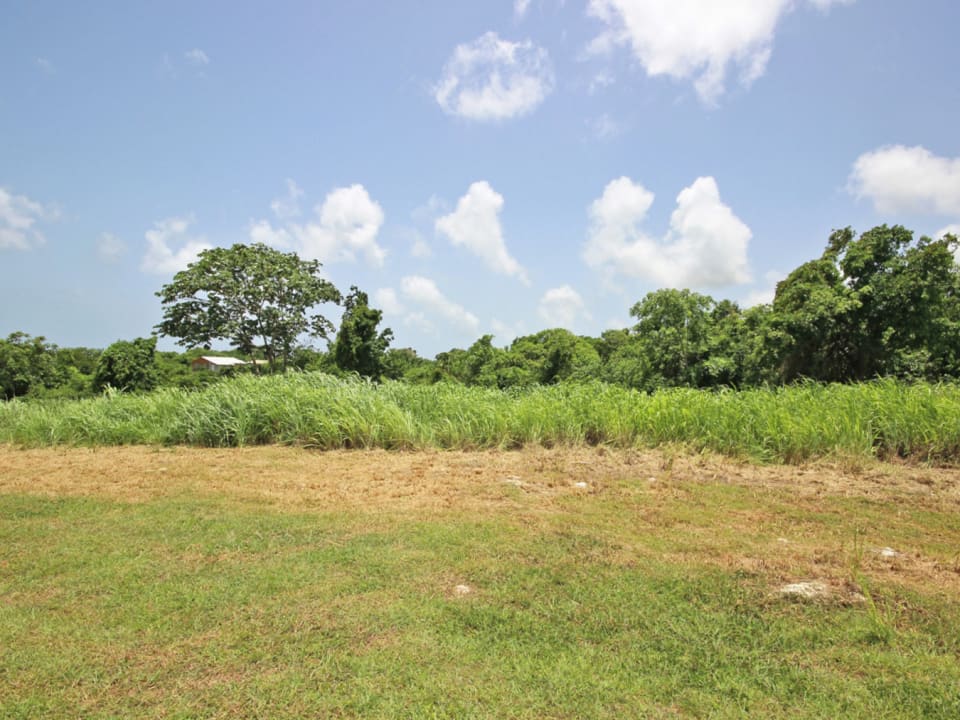 Gully that borders the property