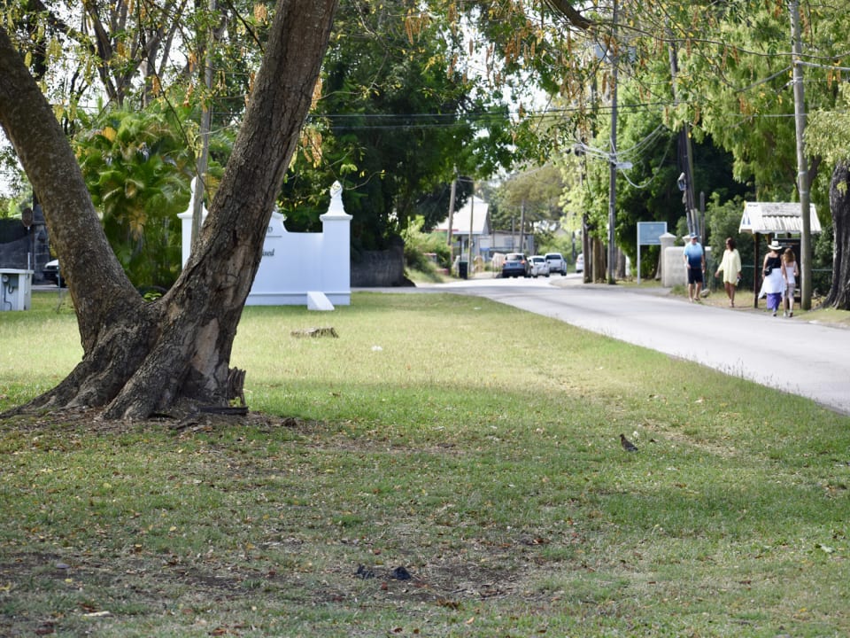 Highway 1 along west boundary of site