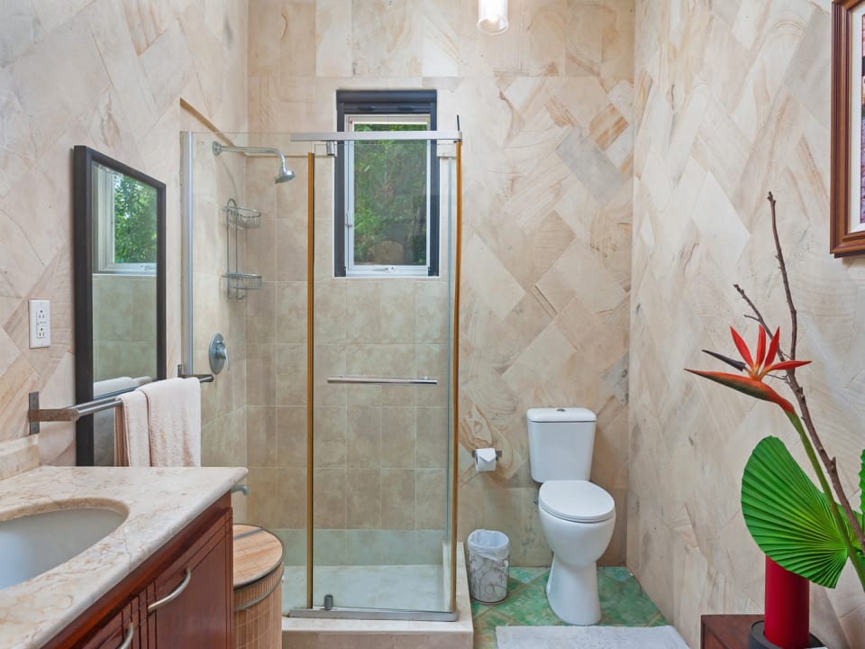 Guest bathroom