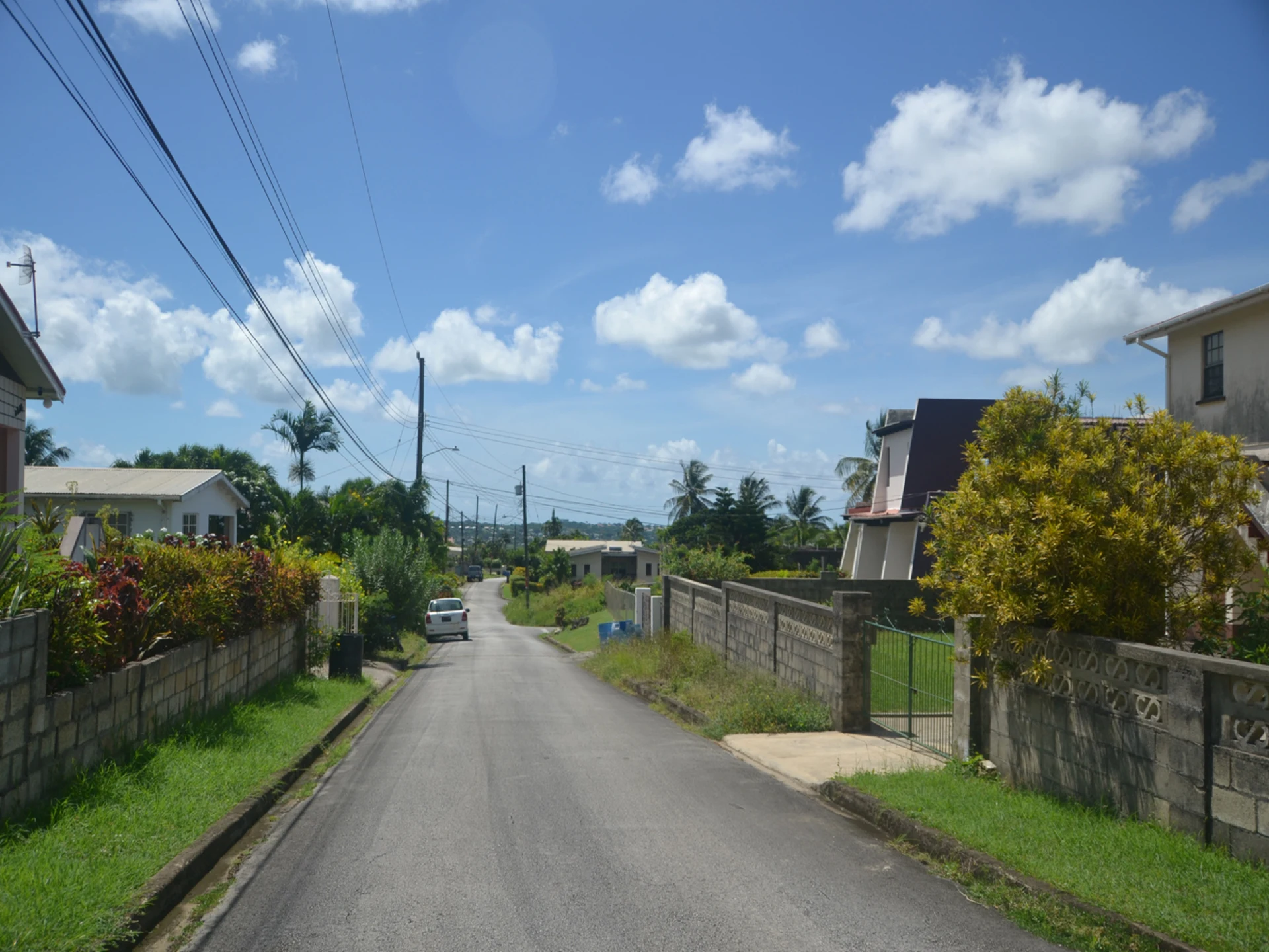 Street Scape