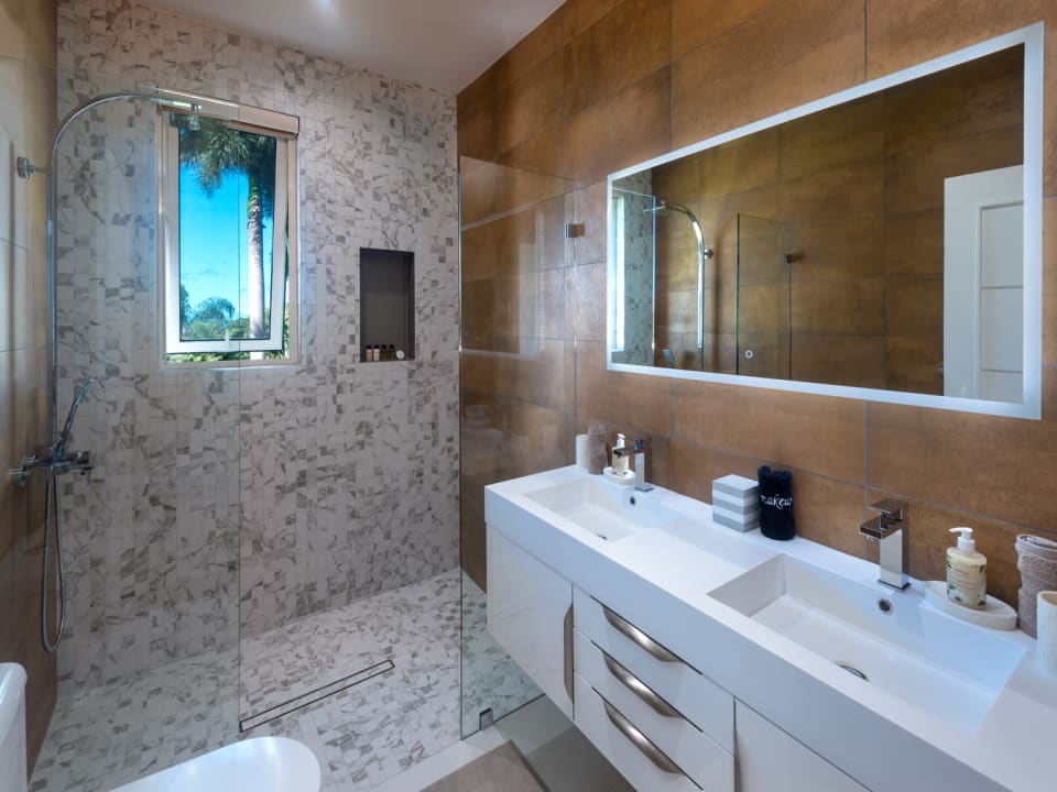 Guest bathroom