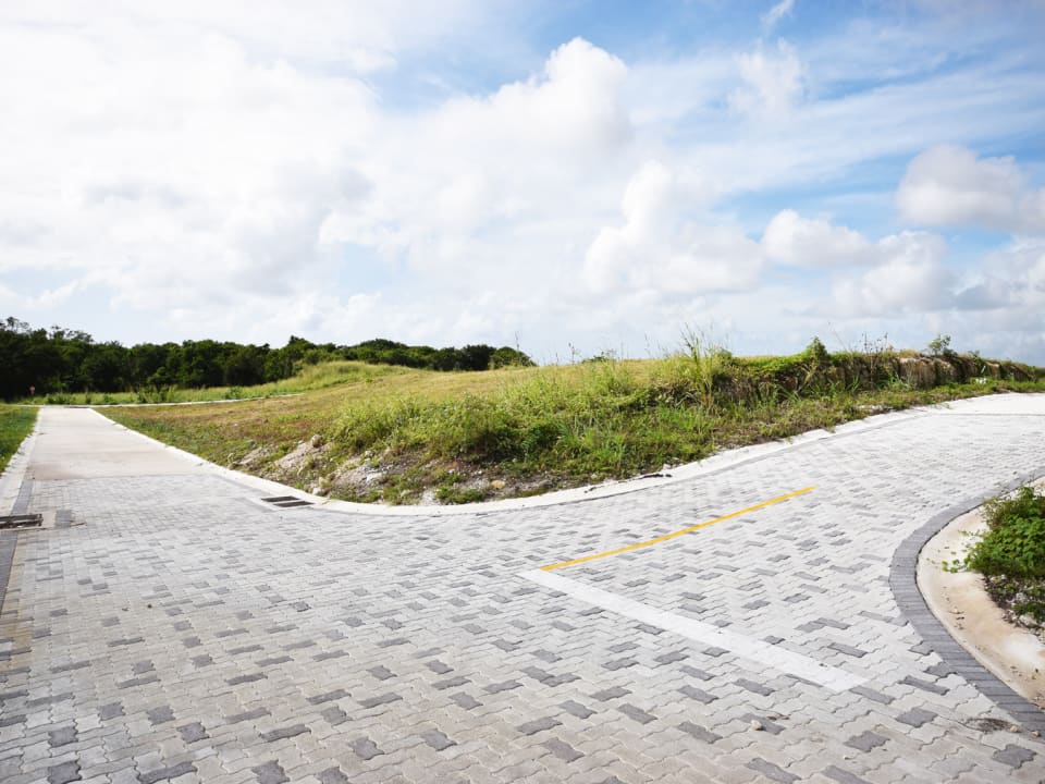 Roads within The Development