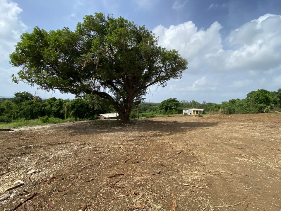 View looking north