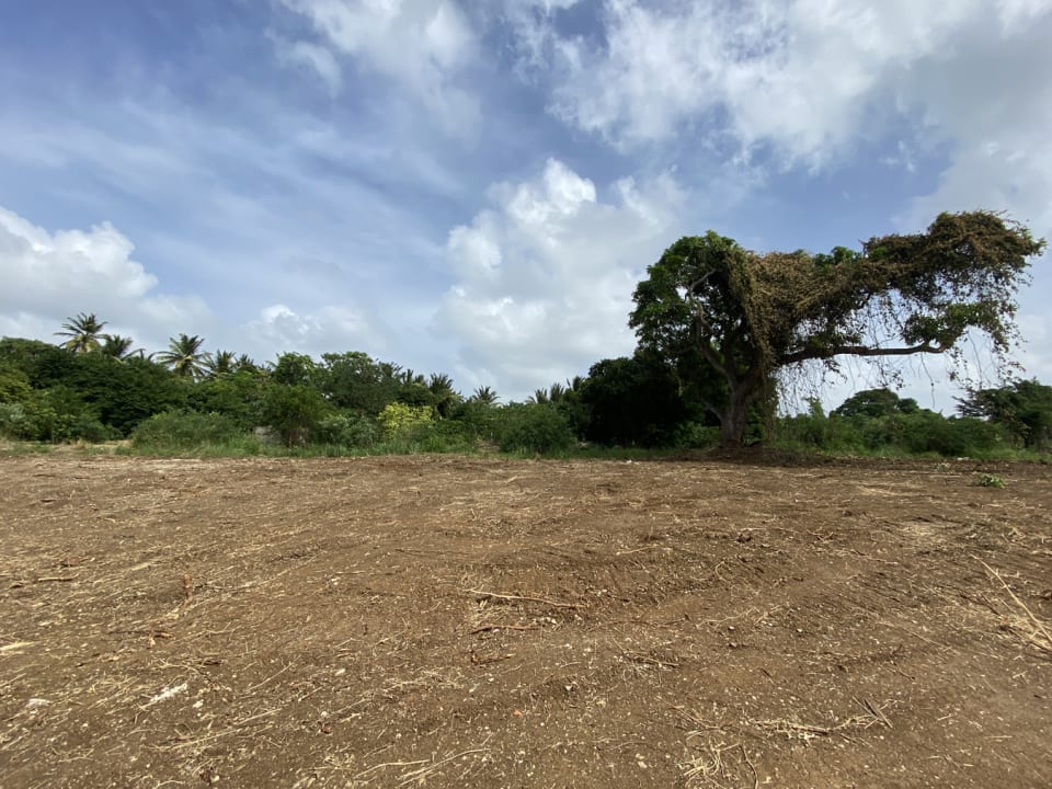 Eastern view