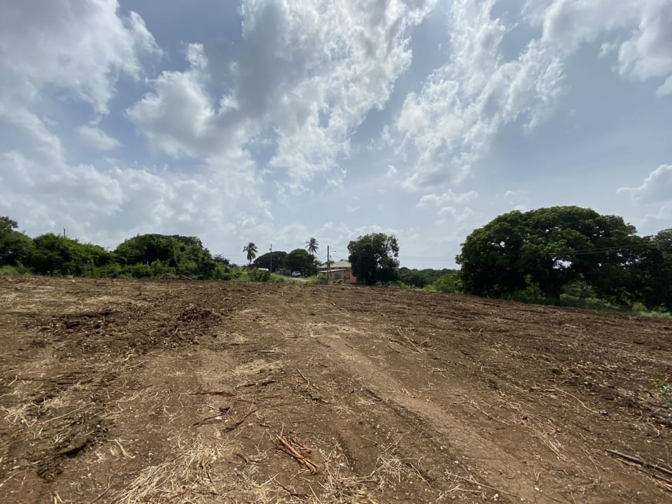 Large lot great for building