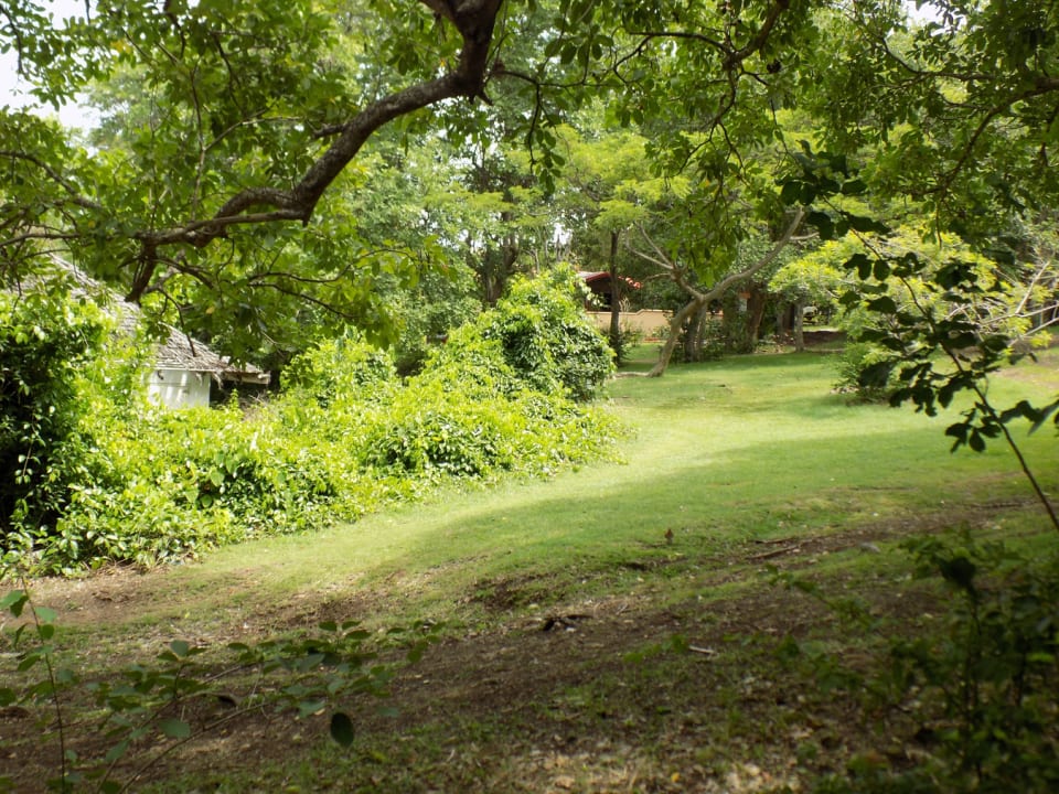 Land around Cottage