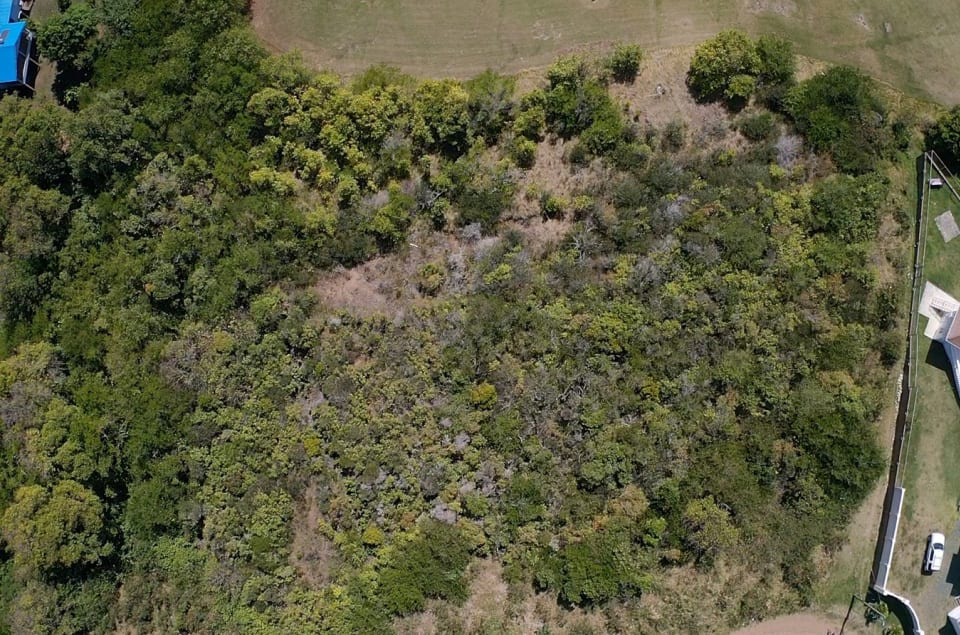 Overhead view of Land