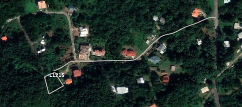 Aerial shot of the lot marked by L1215, showing the path from the main Monchy road