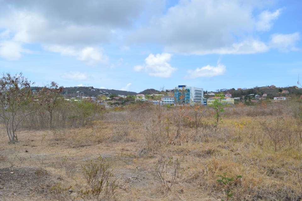 Near Rodney Bay Marina